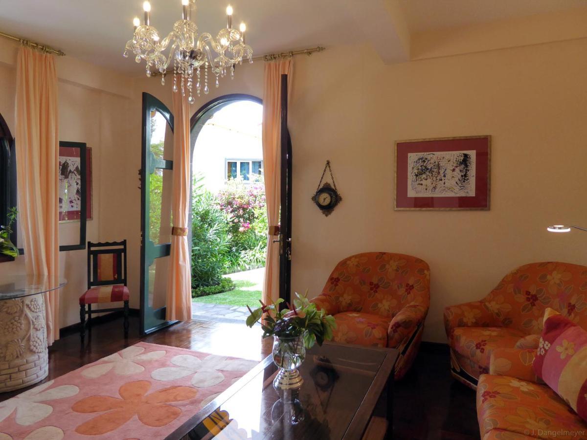 Villa Erika Madeira カニコ エクステリア 写真