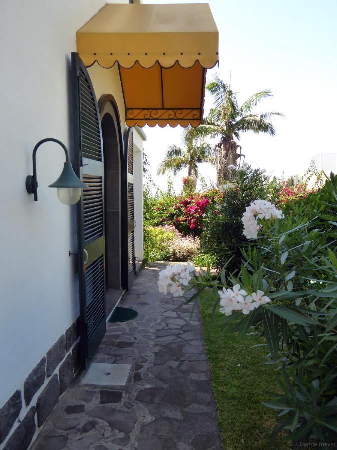 Villa Erika Madeira カニコ エクステリア 写真