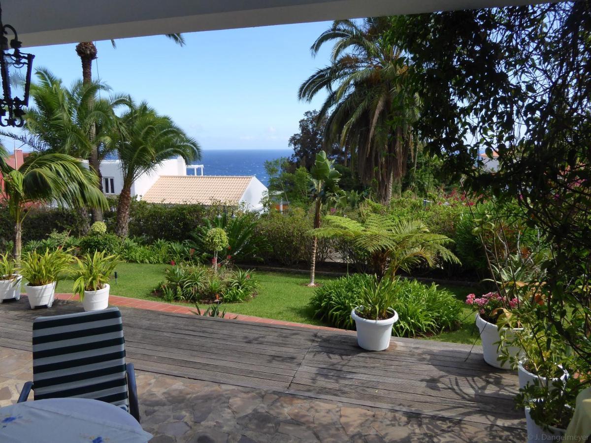 Villa Erika Madeira カニコ エクステリア 写真