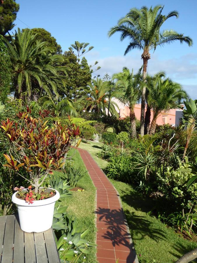 Villa Erika Madeira カニコ エクステリア 写真