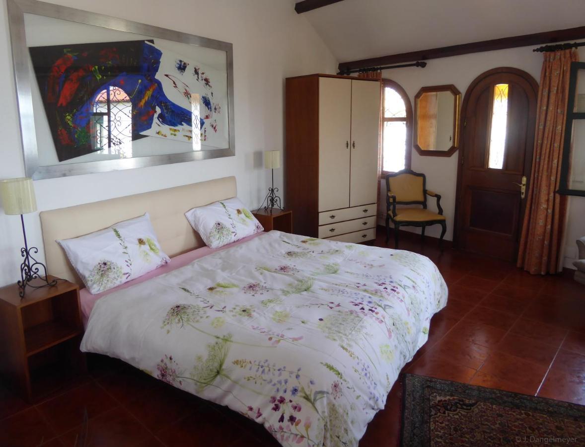 Villa Erika Madeira カニコ エクステリア 写真
