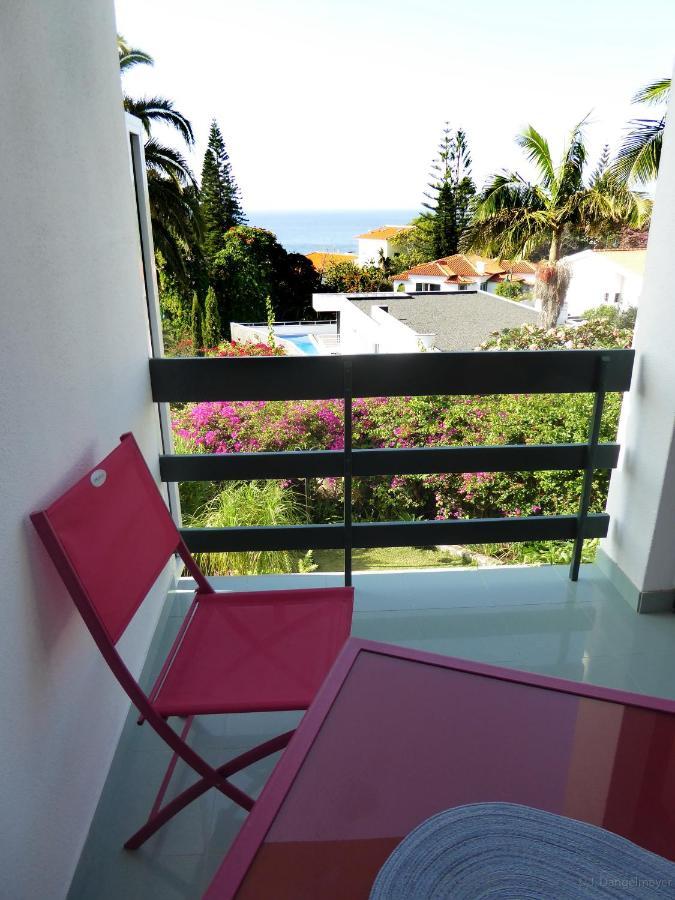 Villa Erika Madeira カニコ エクステリア 写真